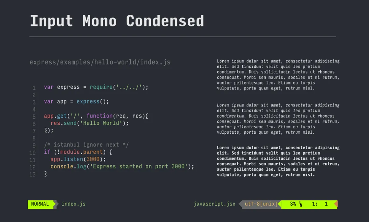 Input Mono Font